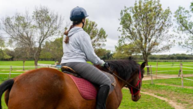 Animal-Assisted Therapy