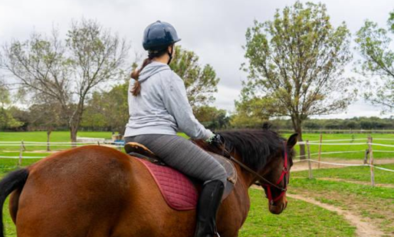 Animal-Assisted Therapy